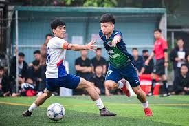 德罗本赛季仅出场18次却斩获三项顶级冠军